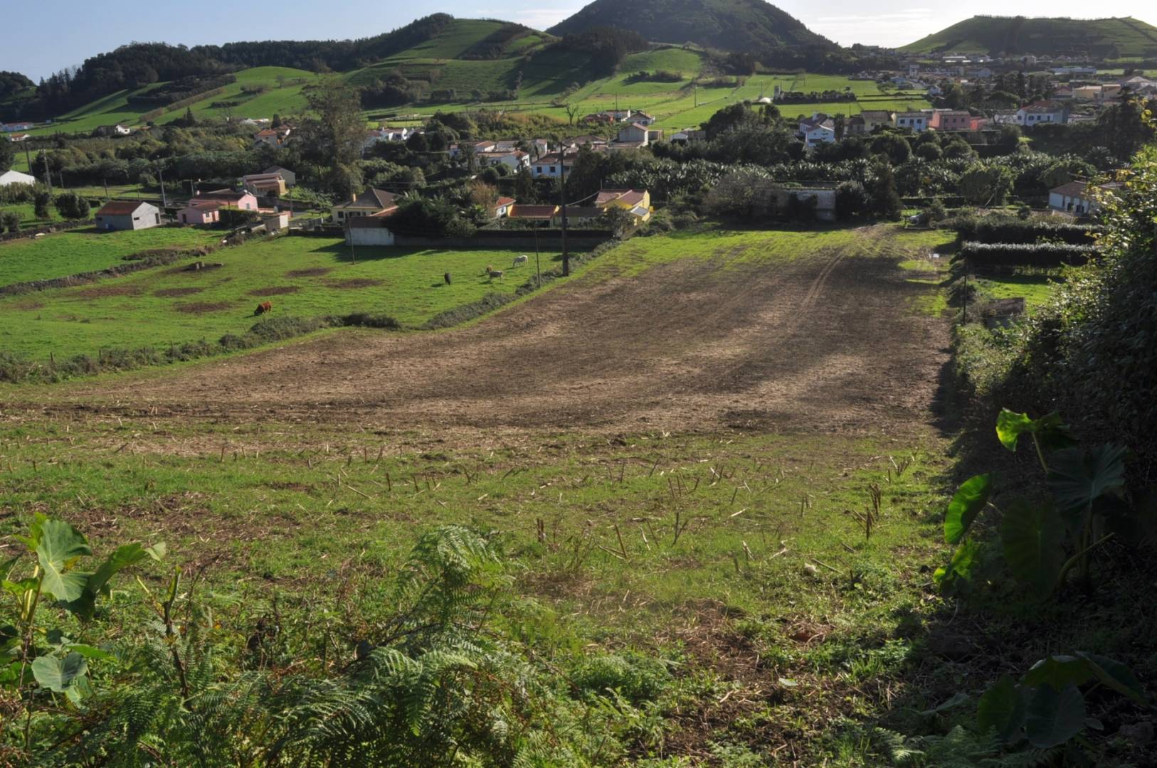 huge property view Faial