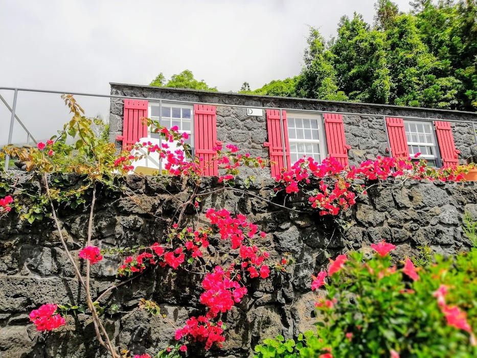 tourism sea view Pico