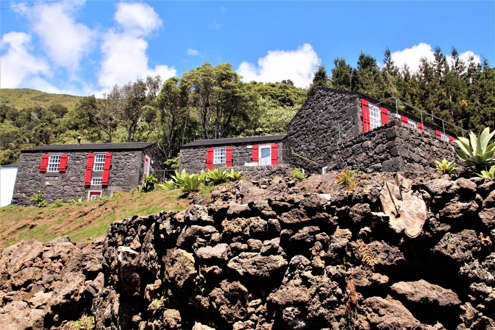 tourism sea view Pico