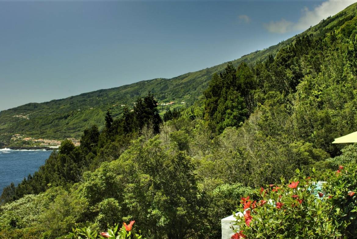 tourism sea view Pico