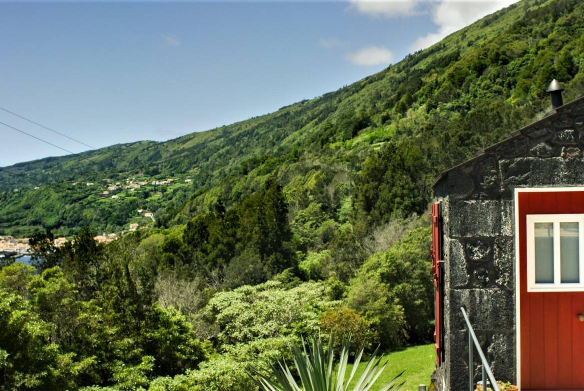 tourism sea view Pico
