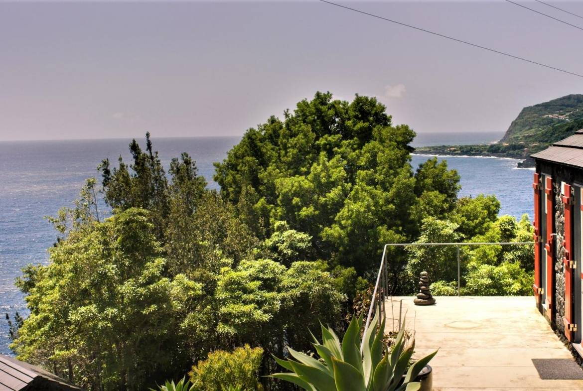 tourism sea view Pico