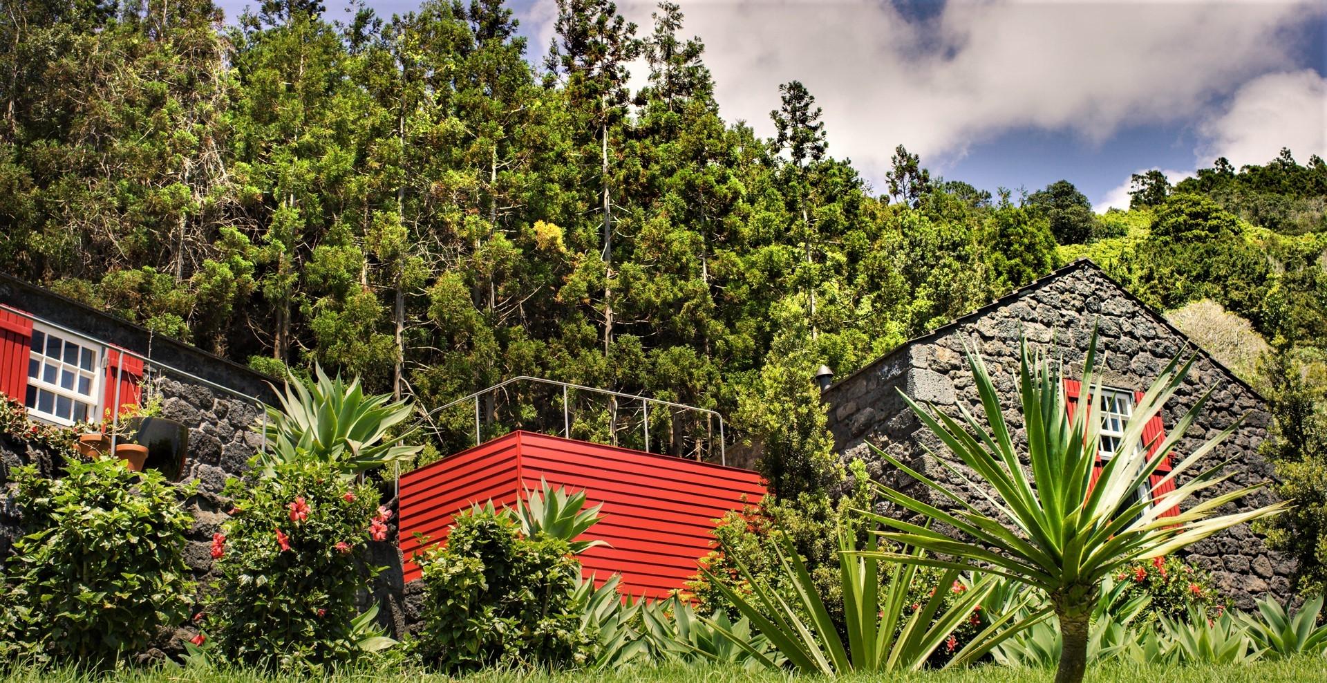 tourism sea view Pico