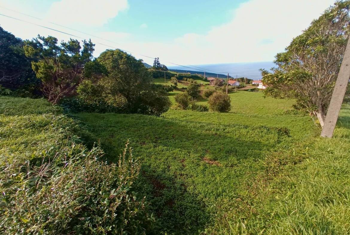 buildable plot view faial