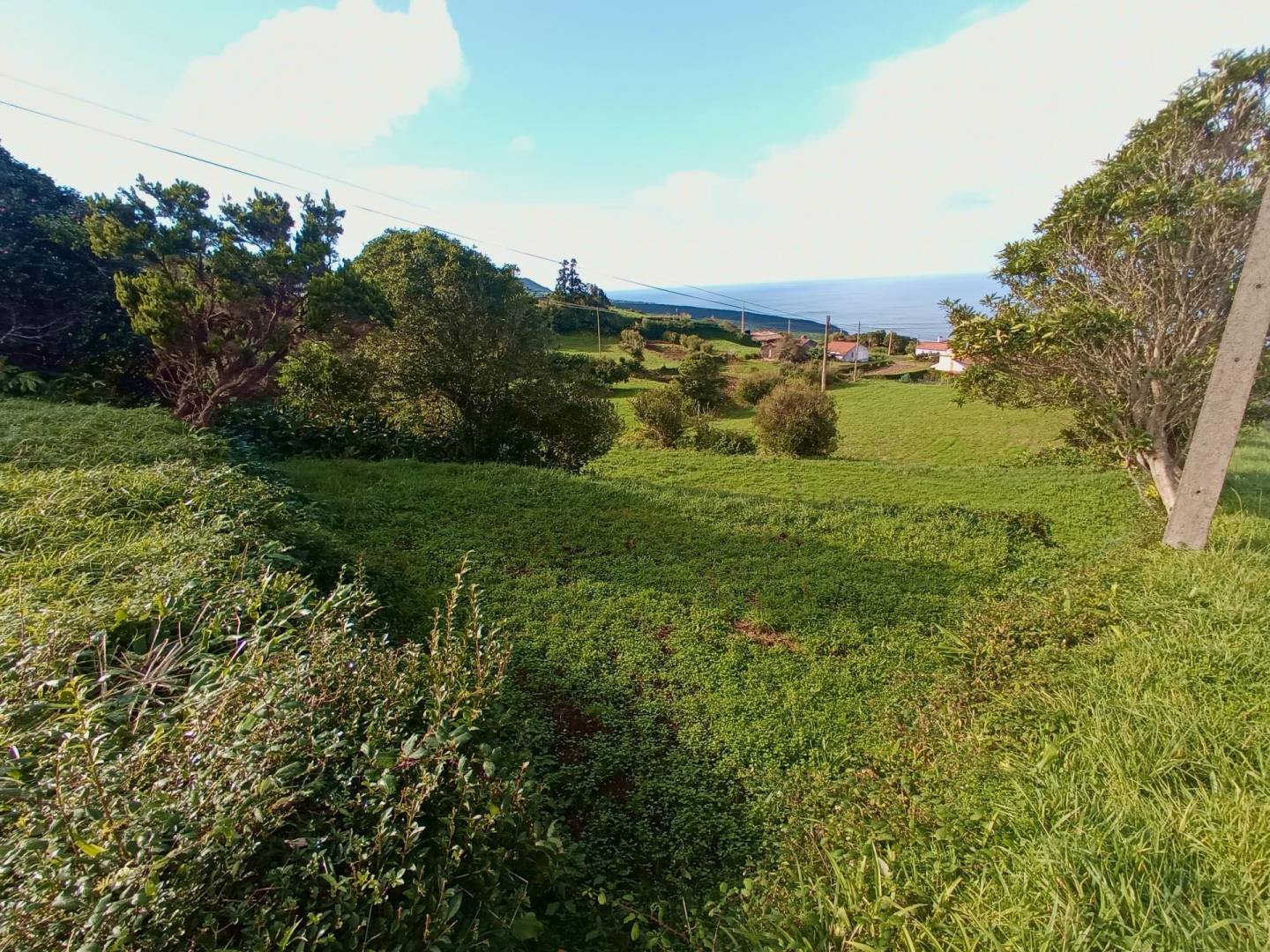 buildable plot view faial