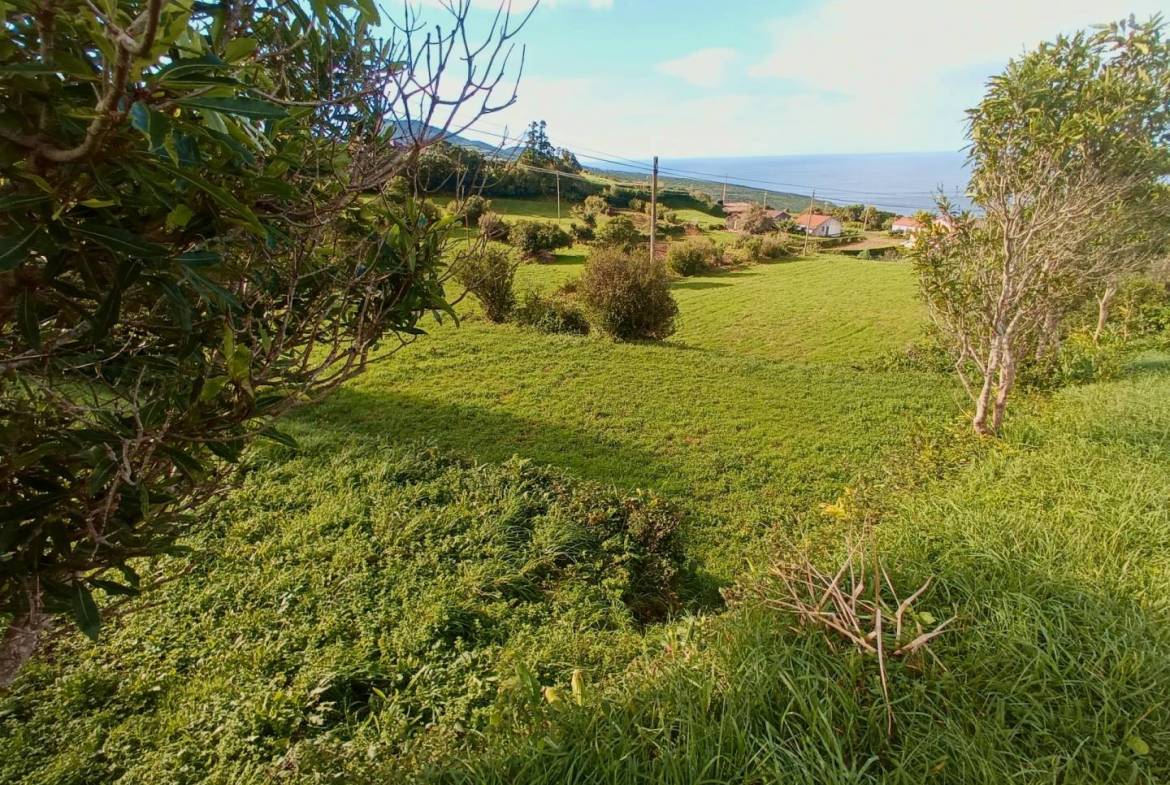 buildable plot view faial