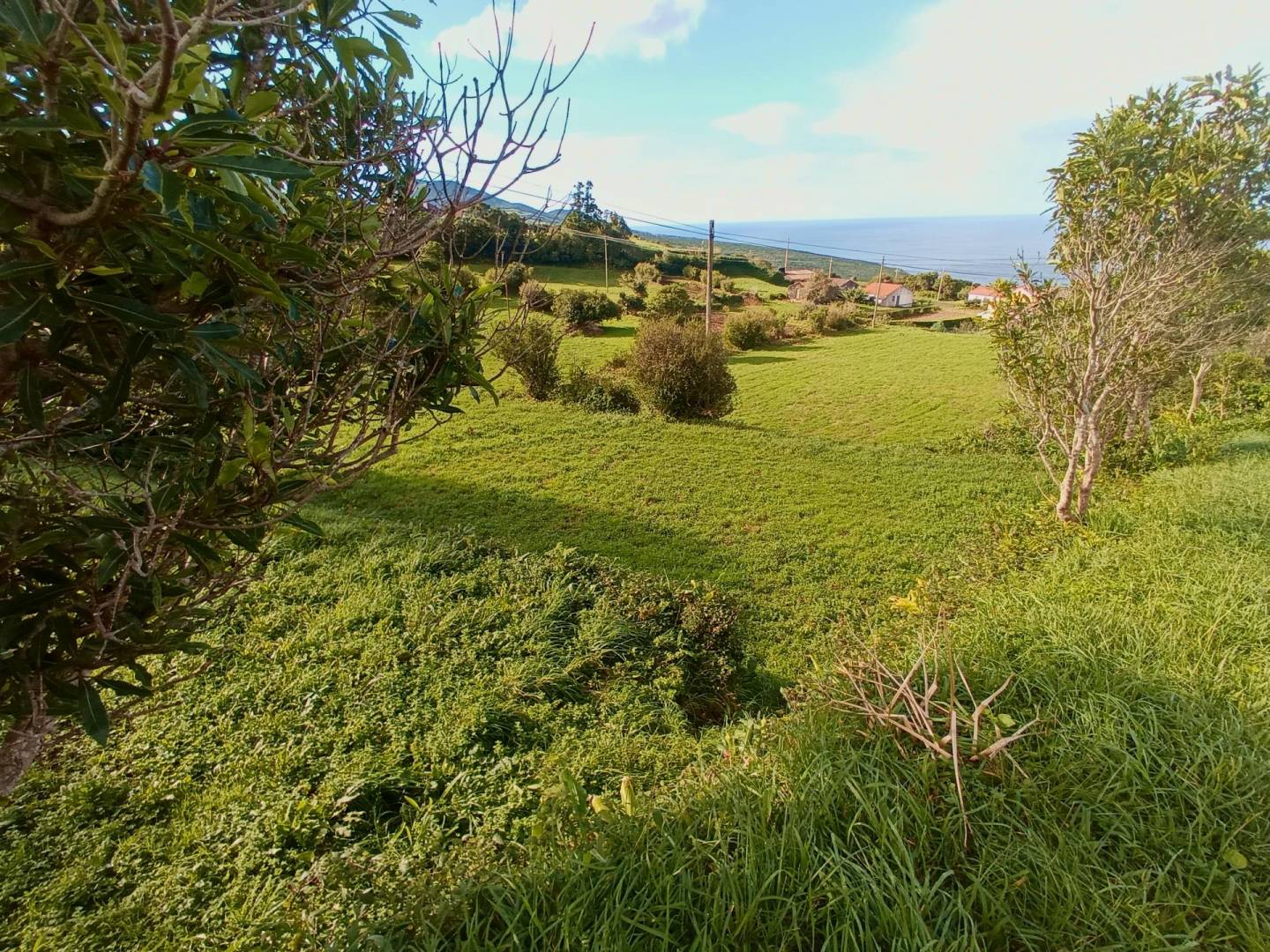 buildable plot view faial