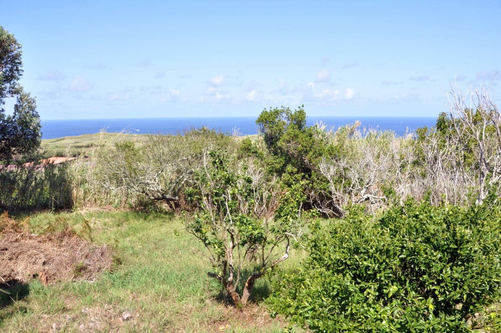 ocean view land Faial