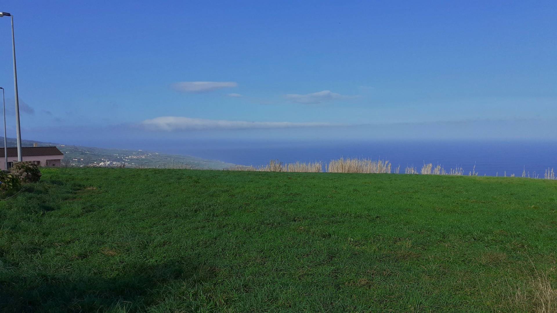 plot views privacy faial