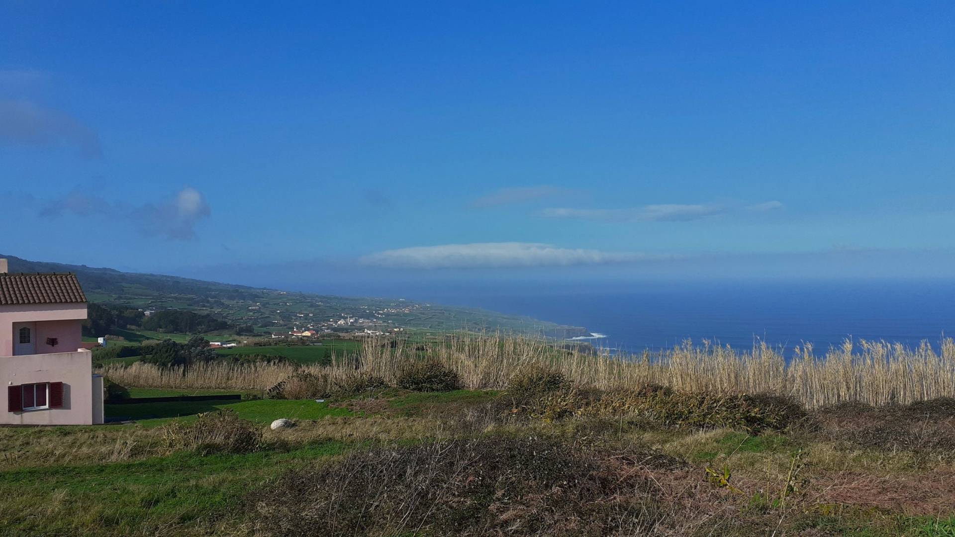 plot views privacy faial