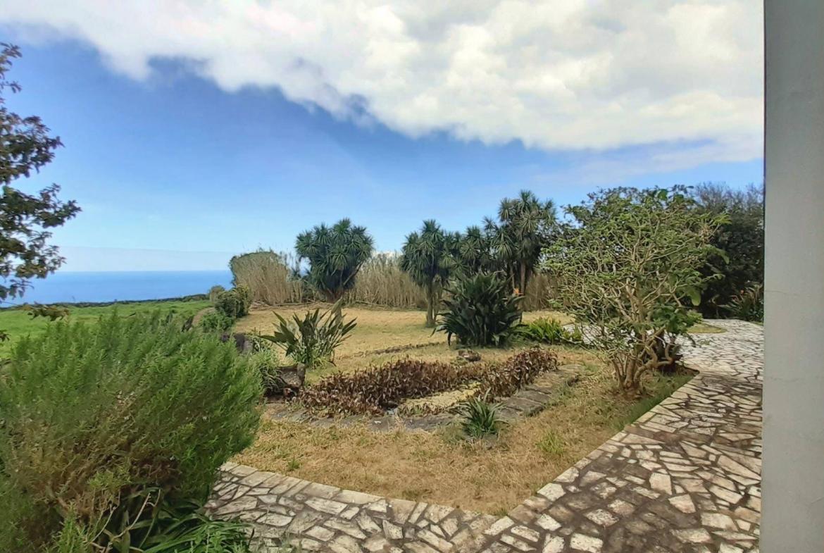 house tropical garden views