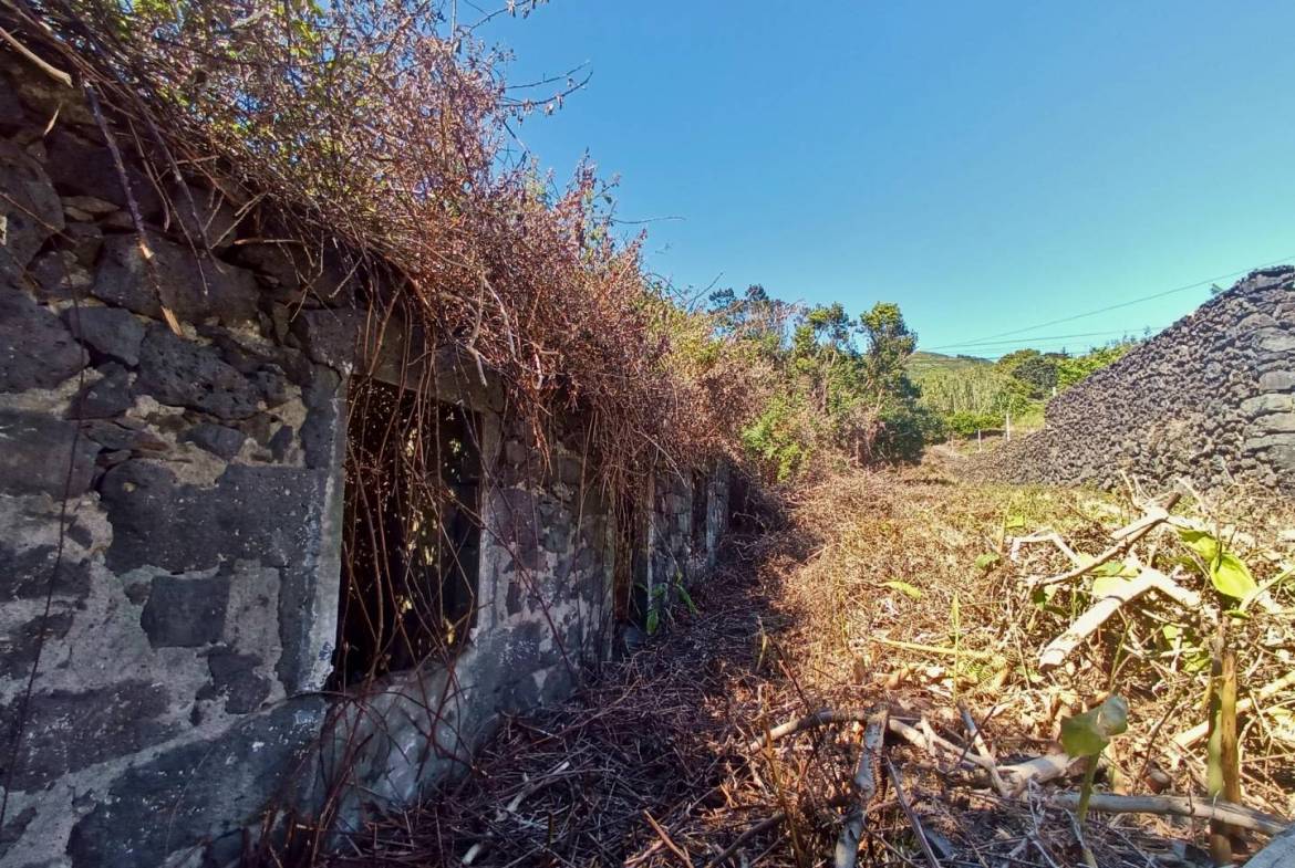 land ruin peaceful faial