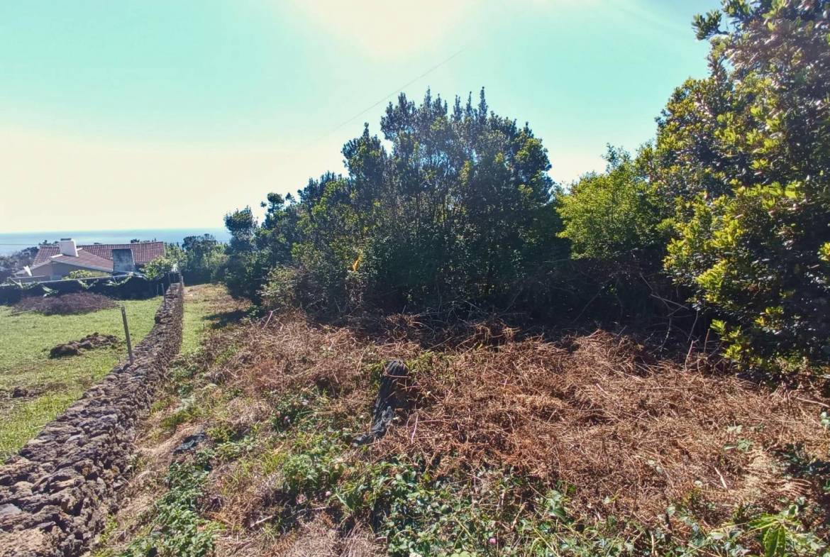 land ruin peaceful faial