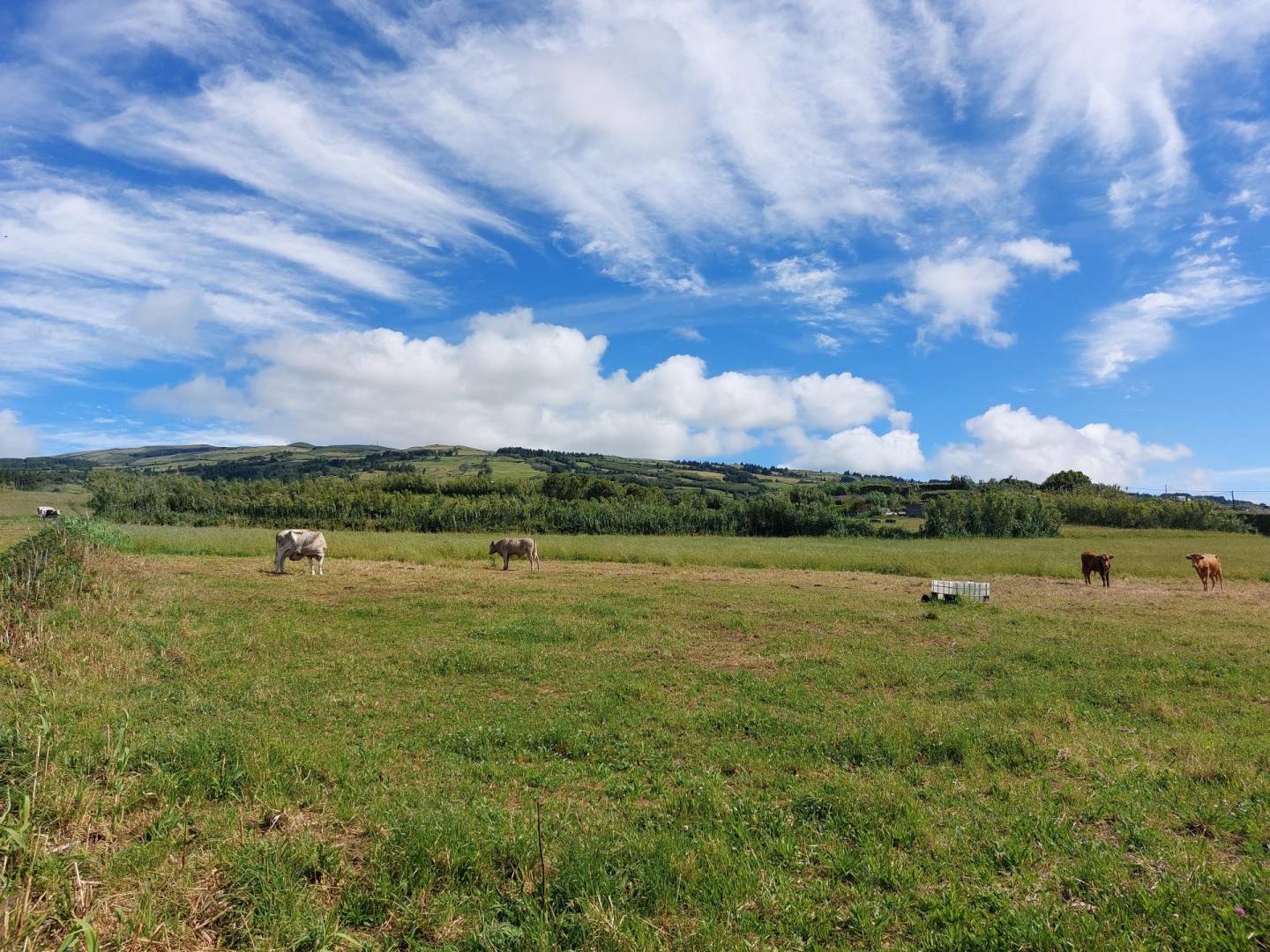 land views faial island