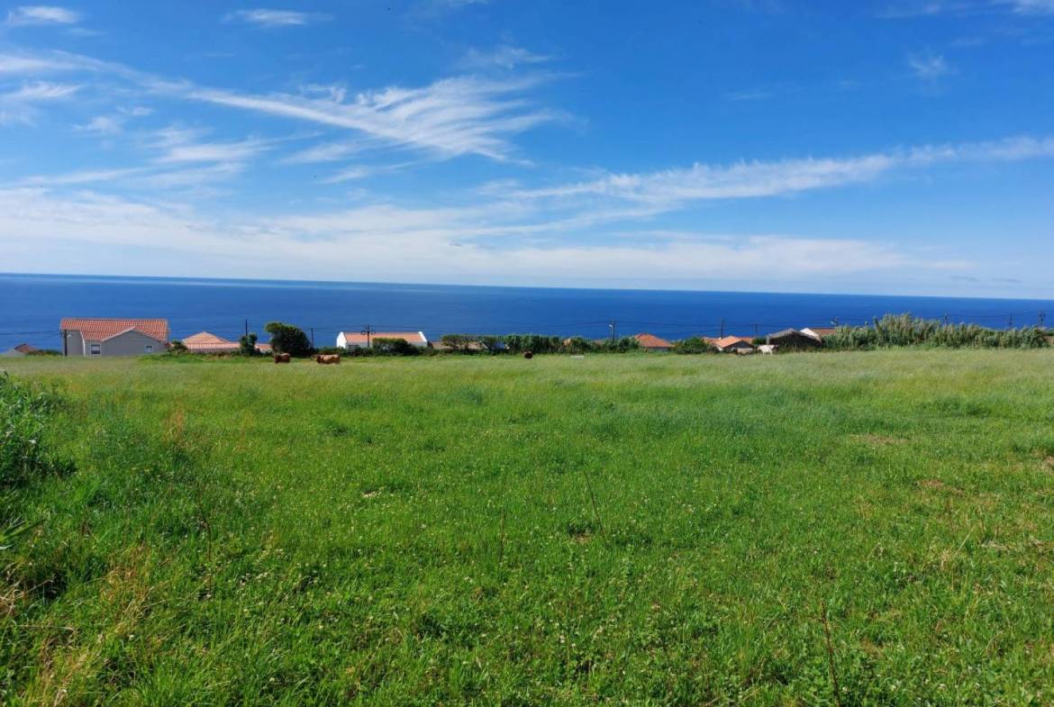 land views faial island