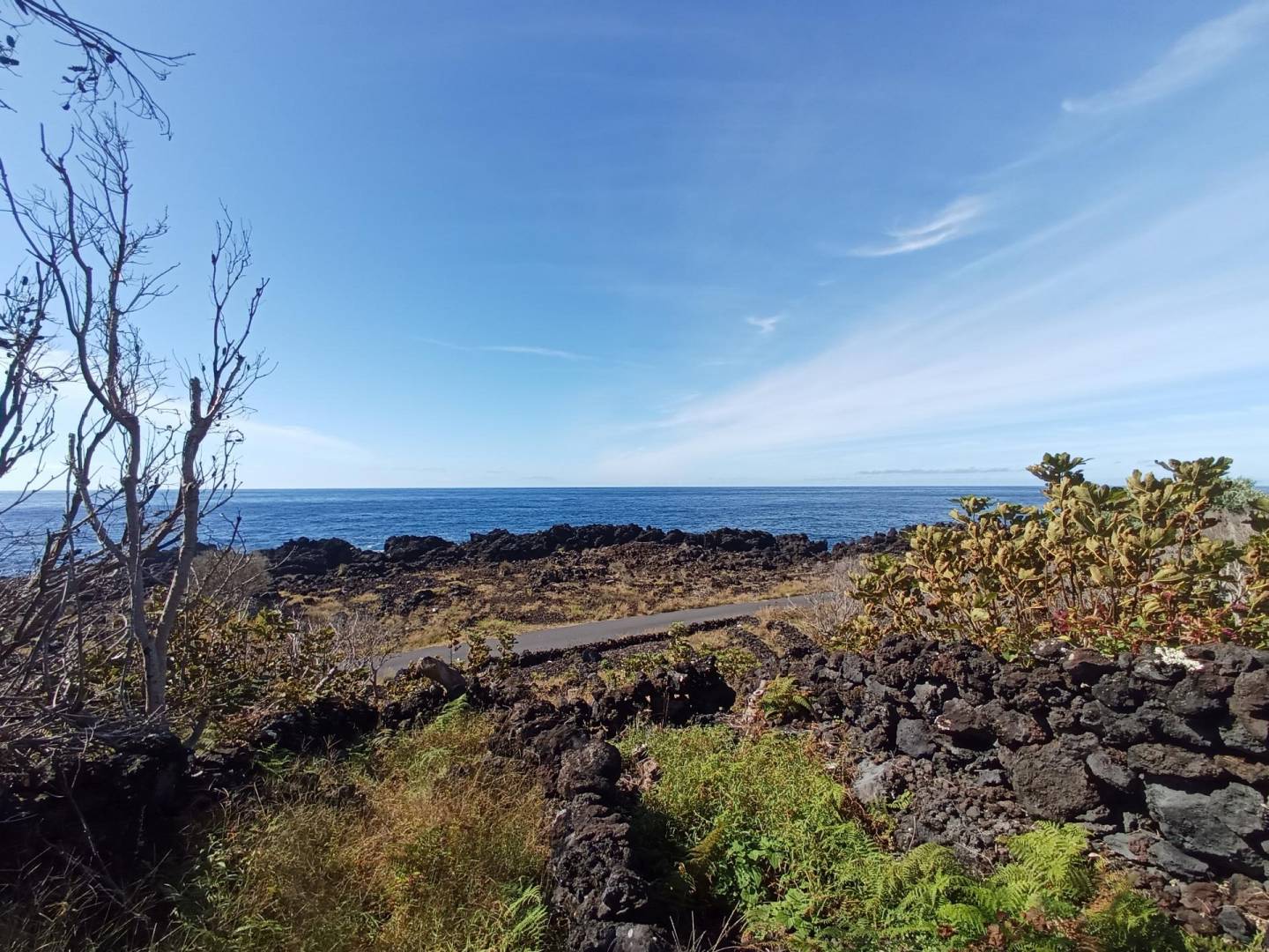 buildable vineyard views island