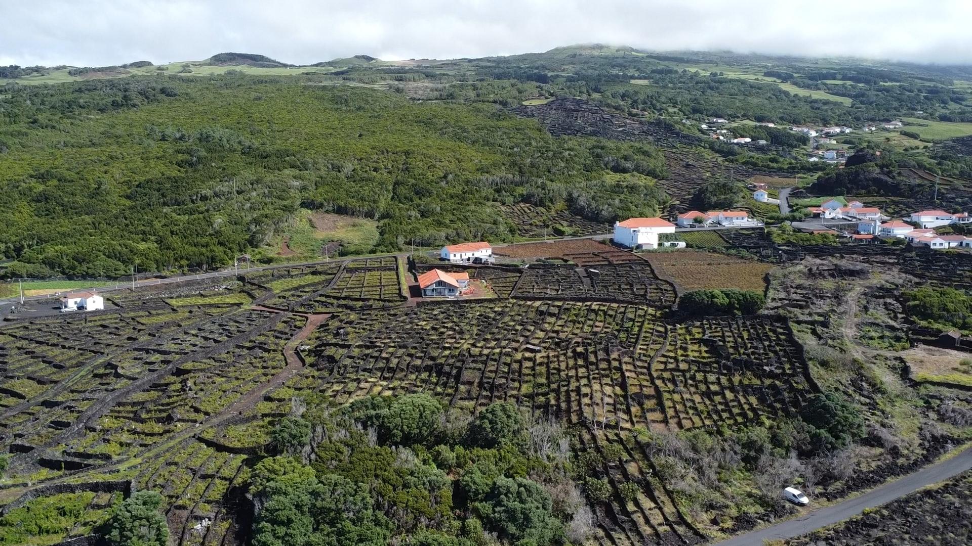 buildable vineyard views island
