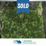 building plot madalena island