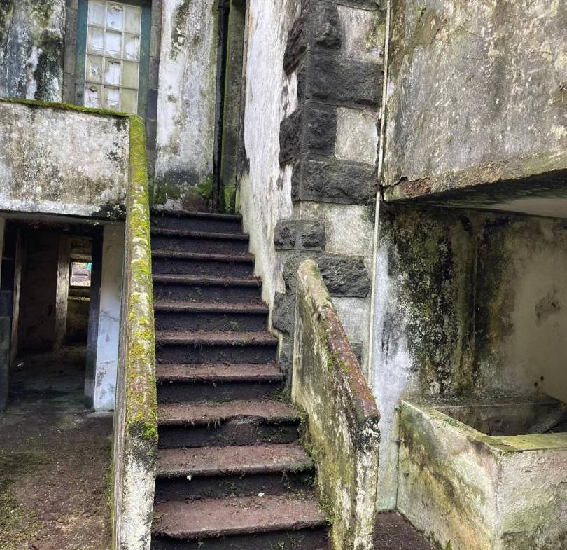 offgrid house forest Faial