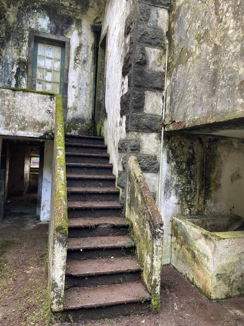offgrid house forest Faial