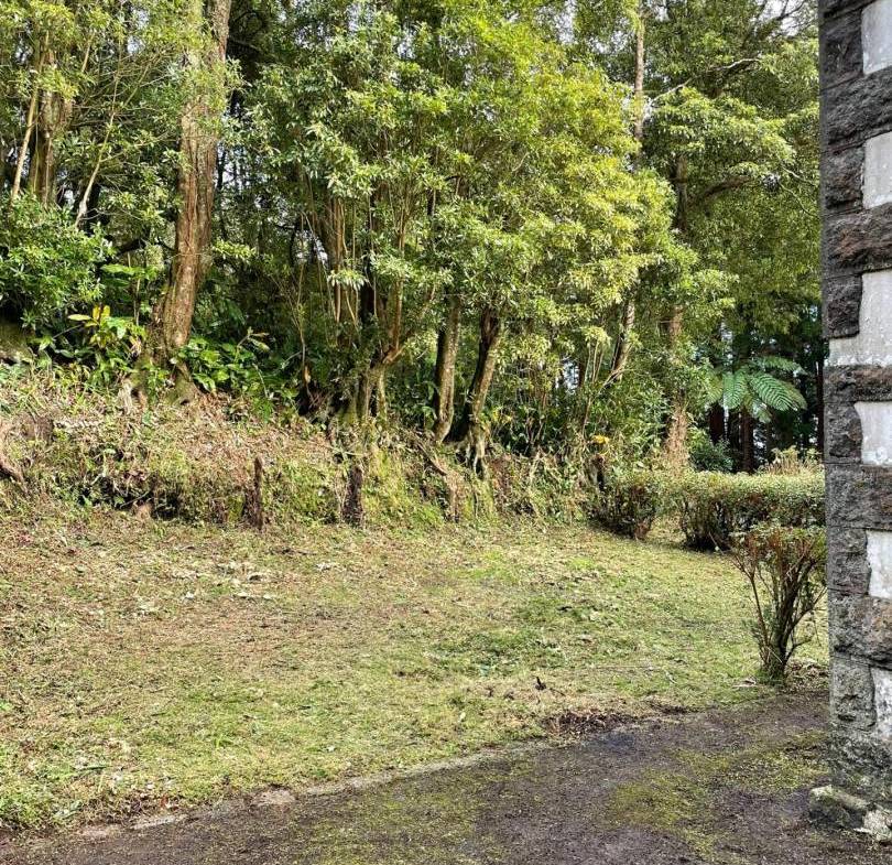offgrid house forest Faial