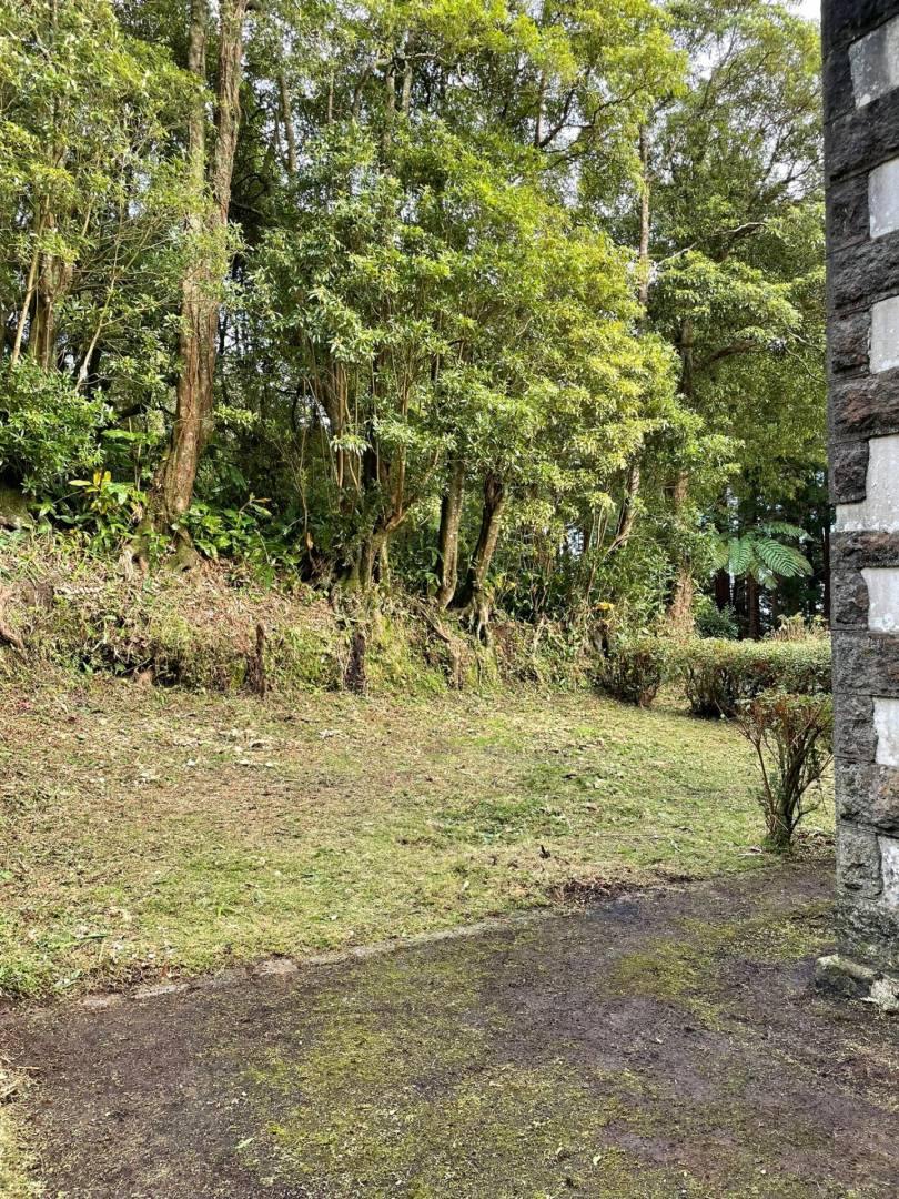 offgrid house forest Faial