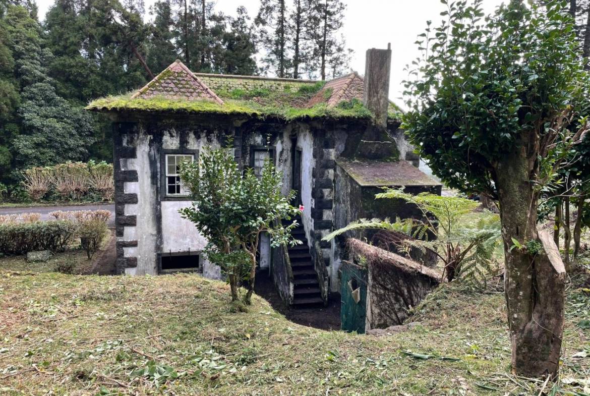 offgrid house forest Faial