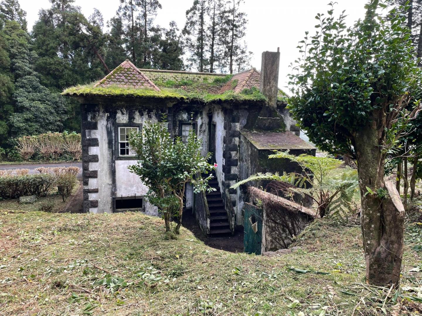 offgrid house forest Faial