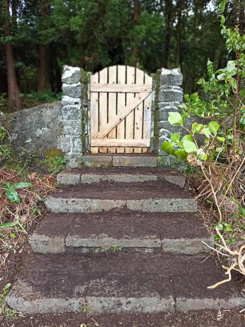 offgrid house forest Faial