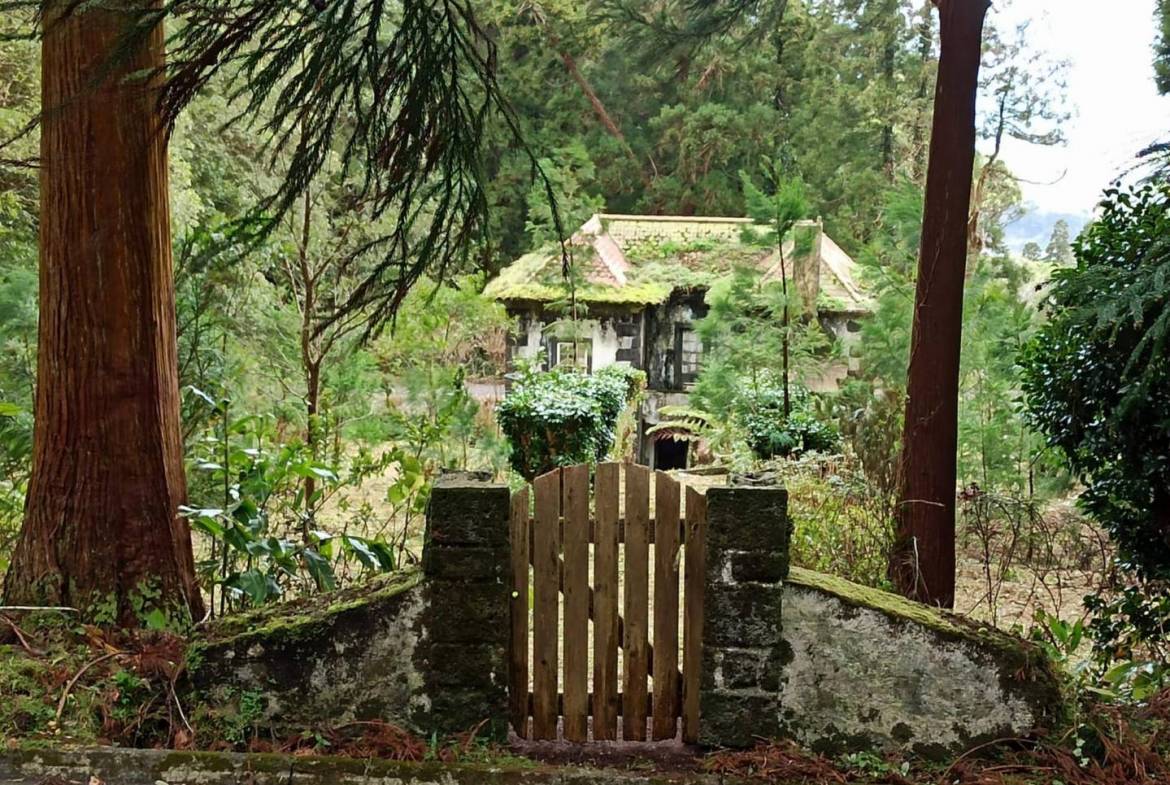 offgrid house forest Faial
