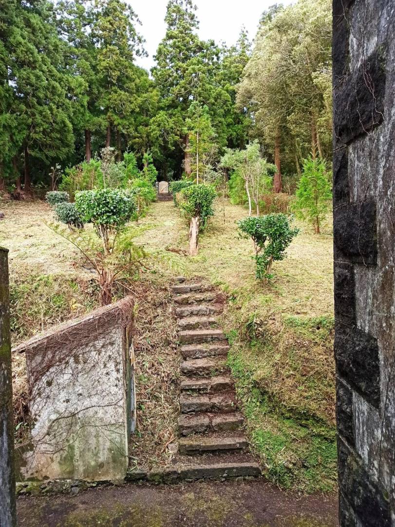 offgrid house forest Faial