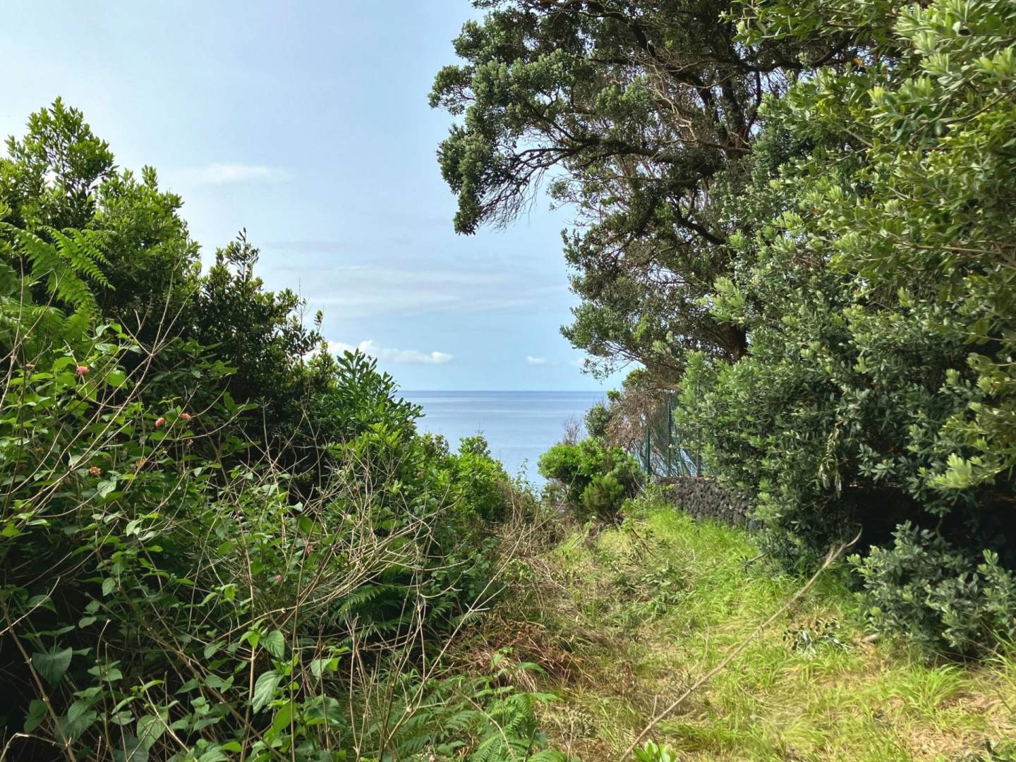 building plot seaside faial