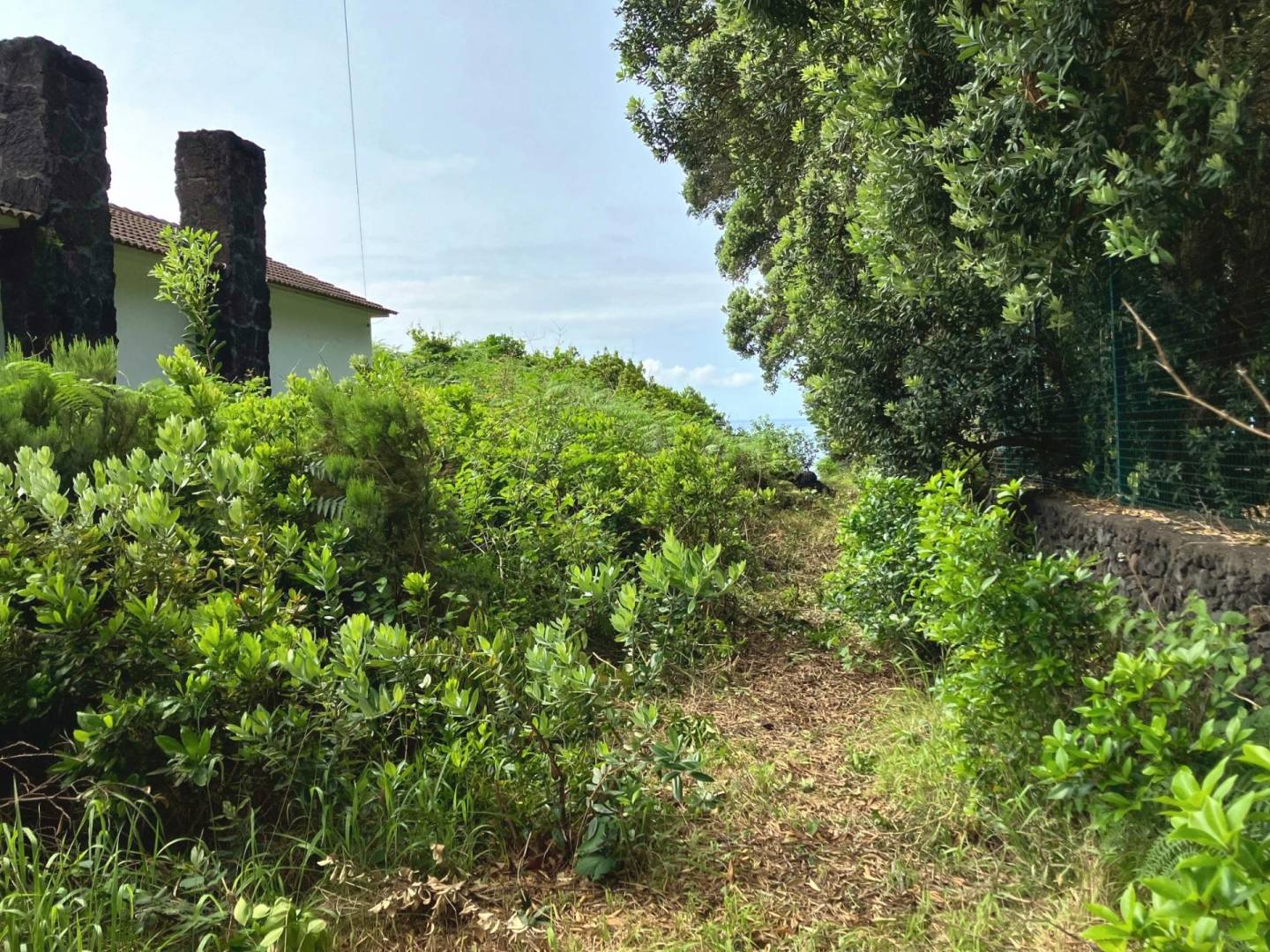 building plot seaside faial