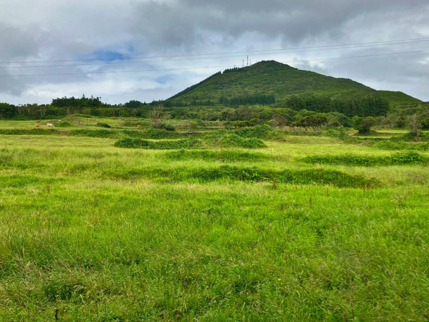 flat land south coast