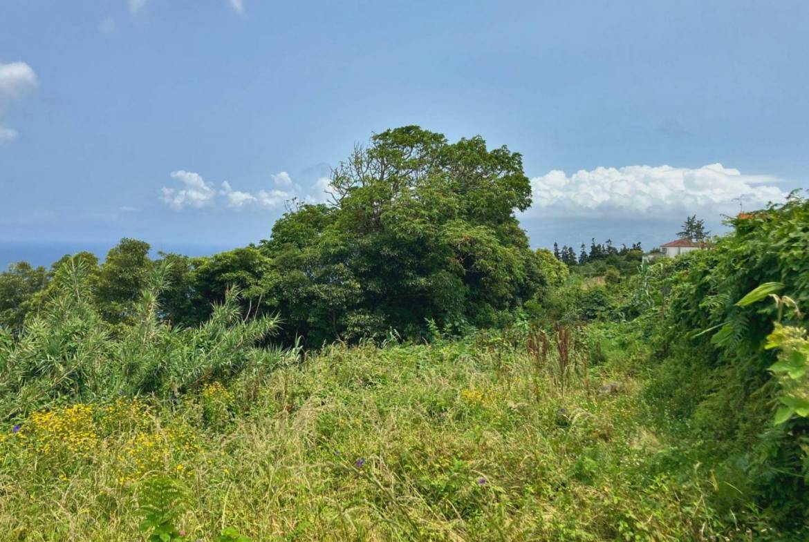 house land views faial