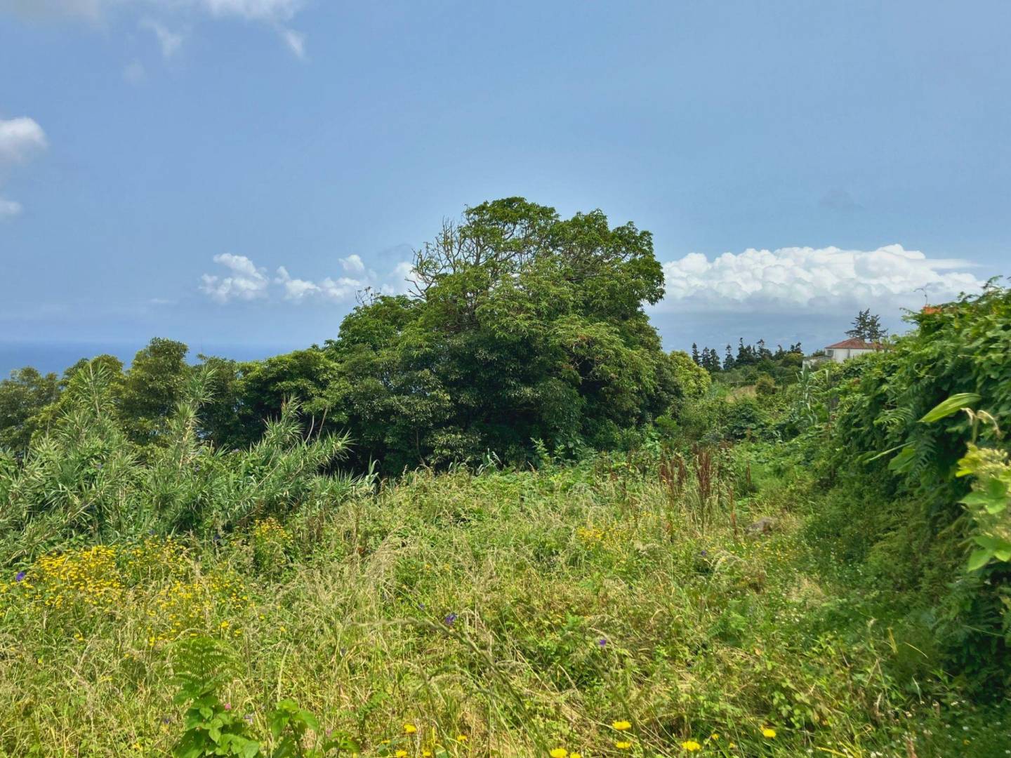 house land views faial