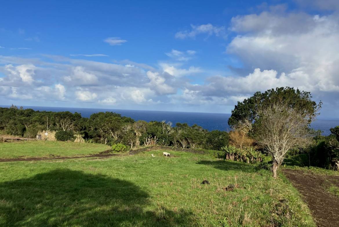 land building natural landscape