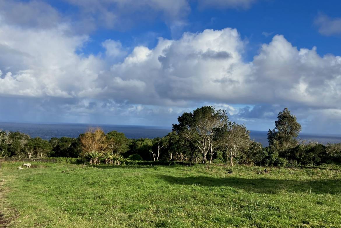 land building natural landscape