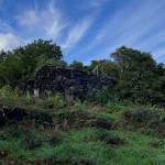 land forest ruin rebuilding