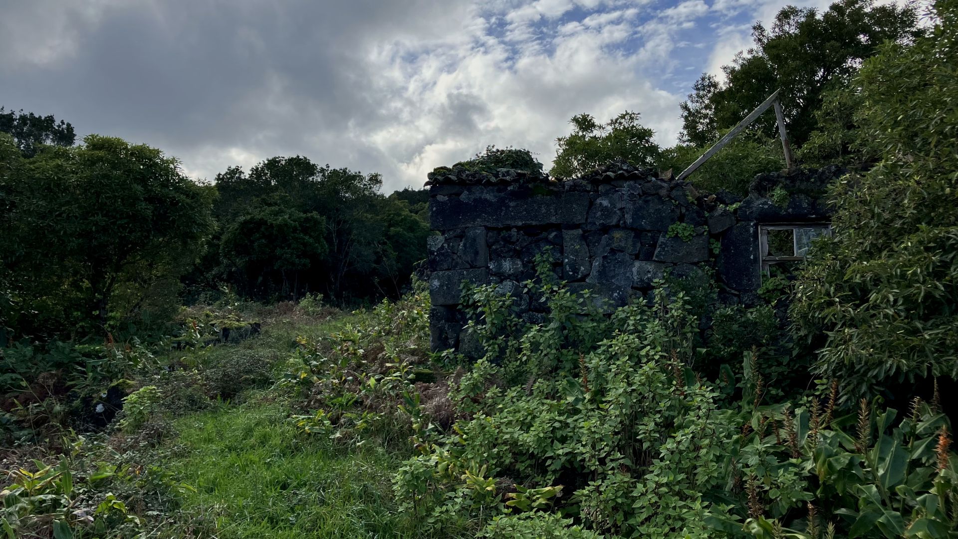 land forest ruin rebuilding